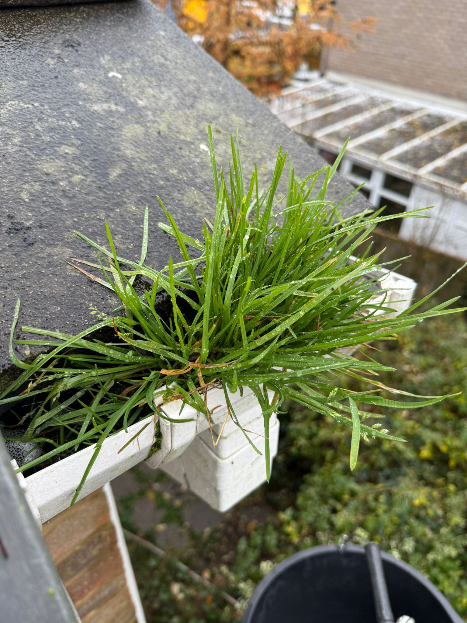 Blocked gutter downpipe in Radlett